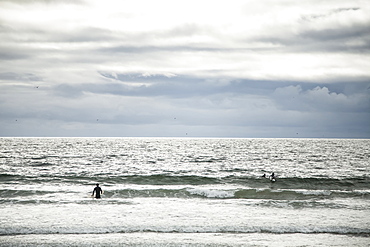 Surfers in ocean waves