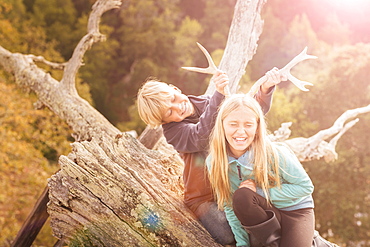 Caucasian brother and sister playing with antlers on tree