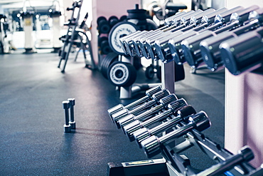 Rack of dumbbells in gym