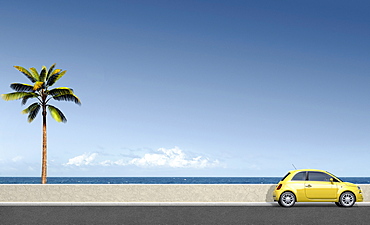 Yellow car near palm tree at ocean