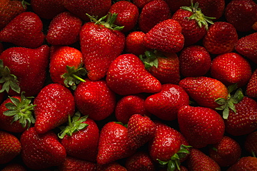 Pile of fresh strawberries