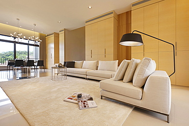 Large floor lamp over sofa in modern home