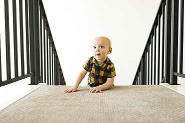 Baby boy (12-17 months) on top of staircase at home