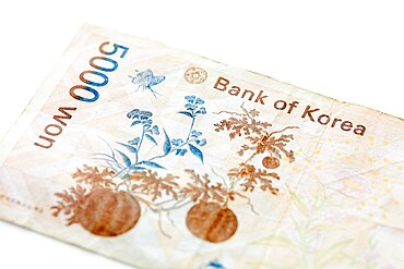 Studio shot of Korean Won banknote