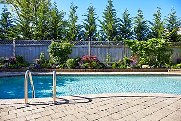 Backyard pool and garden