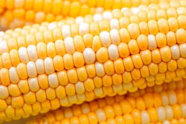 Close-up of corn on the cob