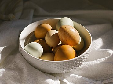 Farm fresh eggs in bowl