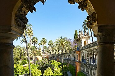 Spain, Seville, Formal gardens at Alcazar royal palace 