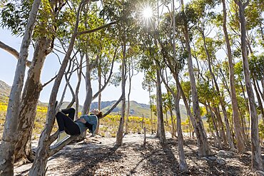 South Africa, Stanford, Teenage girl (16-17) relaxing among gum trees at Phillipskop Mountain Reserve