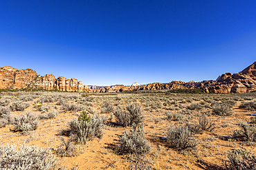 United States, Utah, Zion National Park, Sandstone rock formation