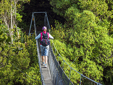 New Zealand, Taranaki, Egmont National Park, Hiker walking on rope bridge in forest