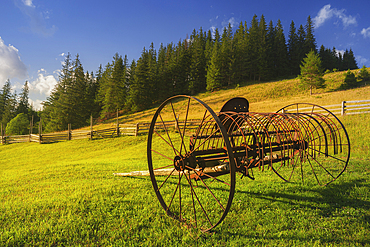 Ukraine, Ivano Frankivsk region, Verkhovyna district, Dzembronya village, Old farm machine in rural landscape in Carpathian Mountains