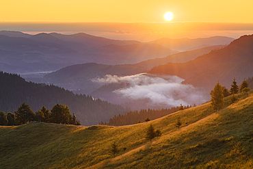 Ukraine, Ivano Frankivsk region, Verkhovyna district, Dzembronya village, Rolling landscape in Carpathian Mountains at sunset