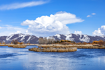 Puffy clouds above mountains and marsh 