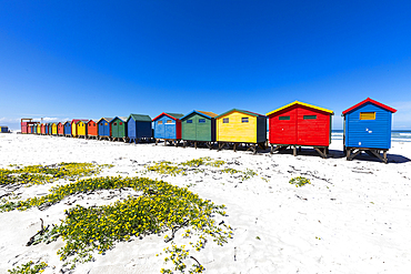 South Africa, Muizenberg, Row of colorful beach huts on Muizenberg Beach