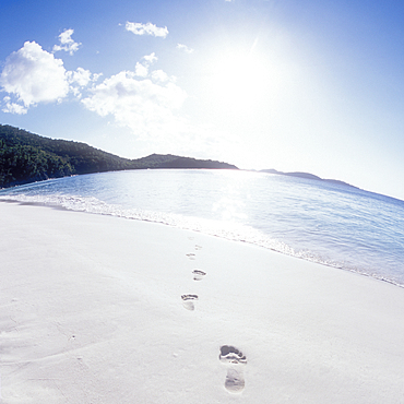 USA, United States Virgin Islands, St. John, Footprints on empty beach and calm sea