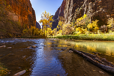 Calm Virgin River and rock formations in Zion National Park in autumn