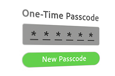 One time passcode on computer monitor