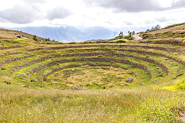 Terraced Inca ruins in Sacred Valley of the Incas
