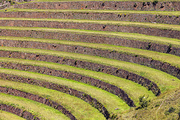 Terraced Inca ruins in Sacred Valley of the Incas