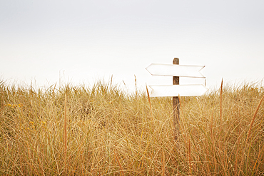 Signpost with blank arrow signs in field of grass