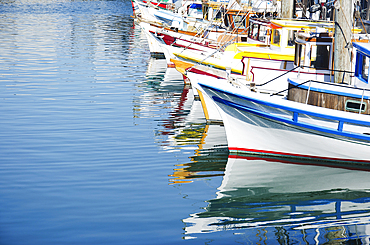 Historic "Monterrey Clippers" fishing fleet