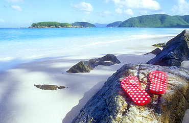 Red flip flop sandals on tropical beach
