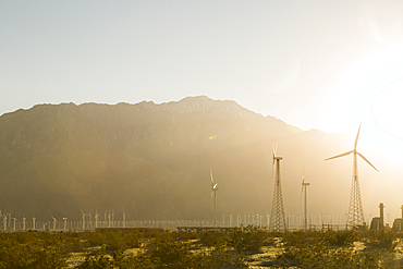 Wind farm in landscape at sunset