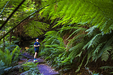 Young man with camera hiking in Grand Canyon Blackheath, Blackheath, New South Wales, Australia