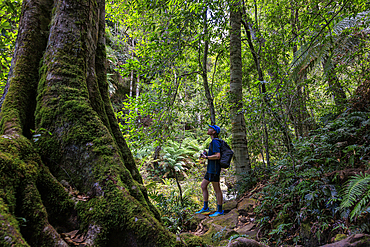 Young male hiker exploring Grand Canyon Blackheath, Blackheath, New South Wales, Australia
