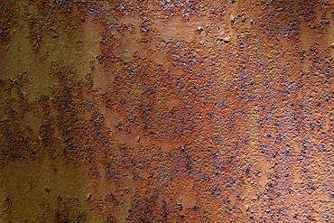 Close-up view of pitted, rusty metal wall, Lord Howe Island, New South Wales, Australia