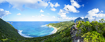 Female looking down on Neds Beach on Lord Howe Island, Lord Howe Island, New South Wales, Australia