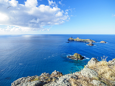 Lord Howe Island cost and seabird, Lord Howe Island, New South Wales, Australia