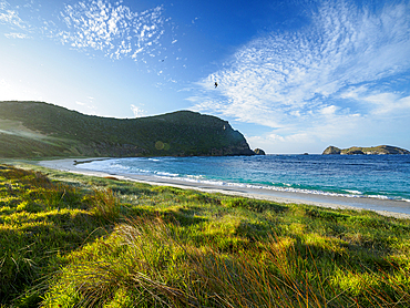 Empty Neds Beach at sunset, Lord Howe Island, New South Wales, Australia