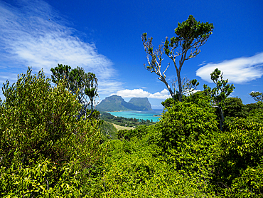 Mount Lidgbird and Mount Gower seen through coastal trees on Lord Howe Island, Lord Howe Island, New South Wales, Australia