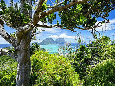 Mount Lidgbird and Mount Gower seen through coastal trees on Lord Howe Island, Lord Howe Island, New South Wales, Australia