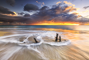 The waves and caribbean sunset frames tree trunks on Ffryes Beach, Antigua, Antigua and Barbuda, Leeward Islands, West Indies, Caribbean, Central America