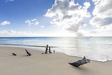 Tree trunks on the beach framed by the crystalline Caribbean Sea, Ffryes Beach, Antigua, ntigua and Barbuda, Leeward Islands, West Indies, Caribbean, Central America