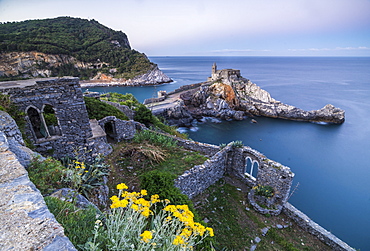 Flowers and blue sea frame the old castle and church at dawn, Portovenere, UNESCO World Heritage Site, La Spezia Province, Liguria, Italy, Europe