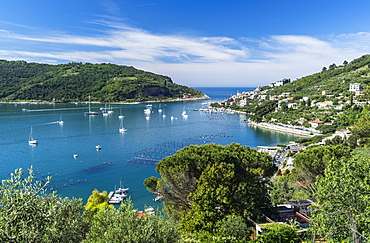 Green vegetation frames the turquoise sea of the Gulf of Poets surrounding Portovenere, La Spezia province, Liguria, Italy, Europe