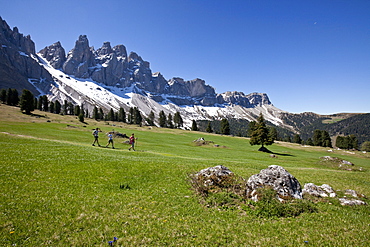 The Puez-Odle Nature Park, a very special place for nature lovers offering many hiking trails, peaks and flower fields, Funes, South Tyrol, Italy, Europe