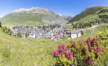 Rhododendrons frame the alpine village of Andermatt, surrounded by woods, Canton of Uri, Switzerland, Europe