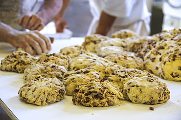 Preparing bisciola, typical bread of Valtellina, with raisins, walnuts and figs, Lombardy, Italy, Europe