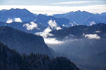 Mist of autumn on the high peaks surrounded by woods, Fussen, Bavaria, Germany, Europe