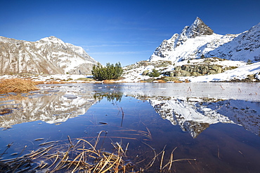 Snowy peaks are reflected in the alpine lake partially frozen, Lejets Crap Alv (Crap Alv Laiets), Canton of Graubunden, Engadine, Switzerland, Europe