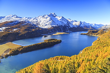 Autumn approaching at Lake Sils near St.Moritz in Engadine, where Piz la Margna is already covered in snow, Graubunden, Swiss Alps, Switzerland, Europe