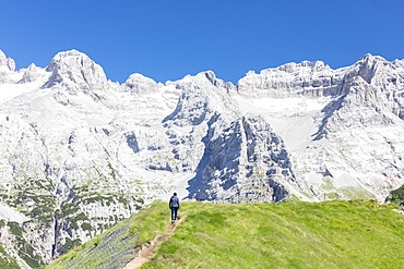 Hiker proceeds on the path to the rocky peaks, Doss Del Sabion, Pinzolo, Brenta Dolomites, Trentino-Alto Adige, Italy, Europe