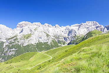 Green meadows frame the high rocky peaks, Doss Del Sabion, Pinzolo, Brenta Dolomites, Trentino-Alto Adige, Italy, Europe