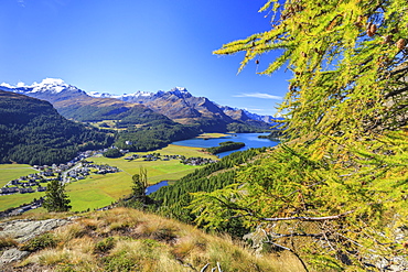 In summer the Engadine valley becomes a paradise for mountain lovers with larch forests, pristine lakes and elegant peaks, Graubunden, Switzerland, Europe