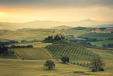 Sunrise on the gentle green hills of Val d'Orcia, UNESCO World Heritage Site, Province of Siena, Tuscany, Italy, Europe